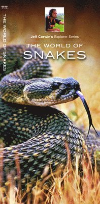 bokomslag World of Snakes
