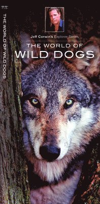 bokomslag World of Wild Dogs