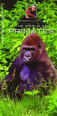 bokomslag World of Primates