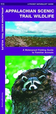 bokomslag Appalachian Scenic Trail Wildlife: A Folding Guide to Familiar Animals