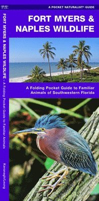 bokomslag Fort Myers & Naples Wildlife