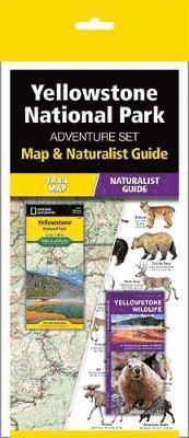 Yellowstone National Park Adventure Set 1