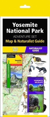 Yosemite National Park Adventure Set 1