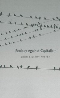 bokomslag Ecology Against Capitalism