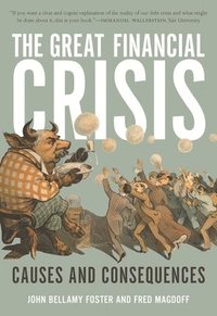 bokomslag The Great Financial Crisis: Causes and Consequences