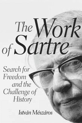 bokomslag Work of Sartre