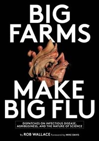bokomslag Big Farms Make Big Flu
