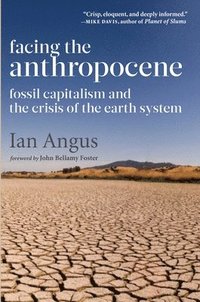 bokomslag Facing the Anthropocene