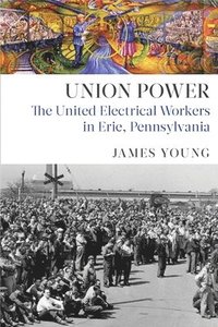 bokomslag Union Power