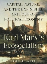 bokomslag Karl Marx (Tm)S Ecosocialism