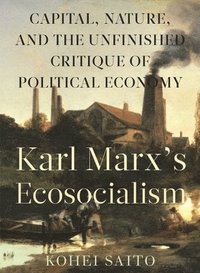 bokomslag Karl Marx (Tm)S Ecosocialism