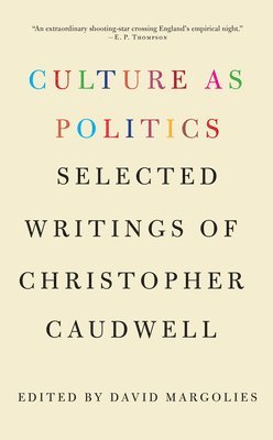 bokomslag Culture as Politics