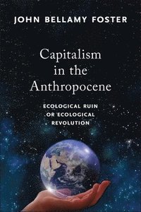 bokomslag Capitalism in the Anthropocene