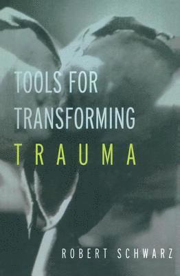 bokomslag Tools for Transforming Trauma