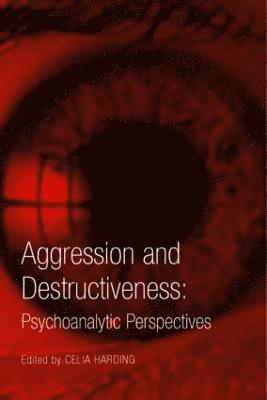 bokomslag Aggression and Destructiveness