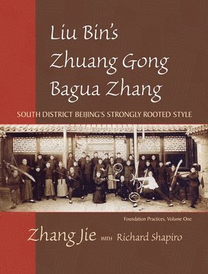 Jie Zhang - Liu Bin's Zhuang Gong Bagua Zhang, Volume One, Häftad