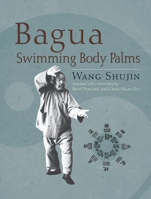 Bagua Swimming Body Palms 1