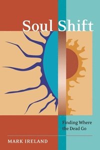 bokomslag Soul Shift