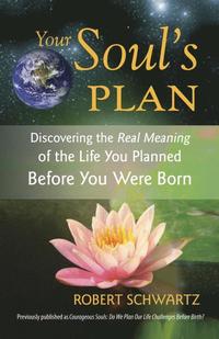 bokomslag Your Soul's Plan