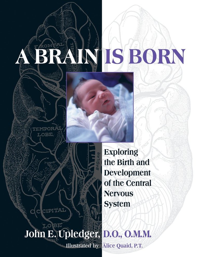 John E. Upledger - Brain Is Born, Häftad