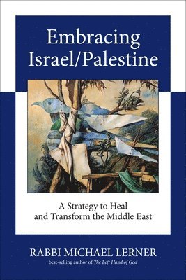bokomslag Embracing Israel/Palestine