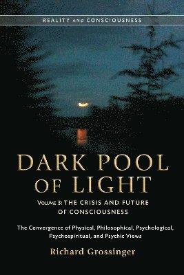 Richard Grossinger - Dark Pool Of Light, Volume Three, Häftad
