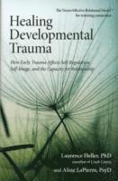 bokomslag Healing Developmental Trauma