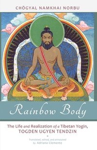 bokomslag Rainbow Body