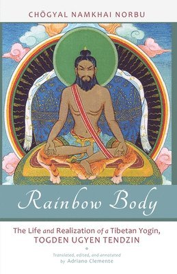 bokomslag Rainbow Body