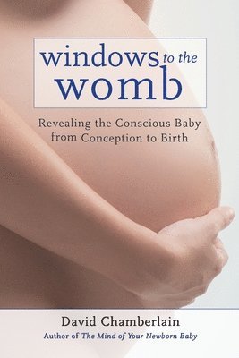 bokomslag Windows to the Womb: Revealing the Conscious Baby from Conception to Birth