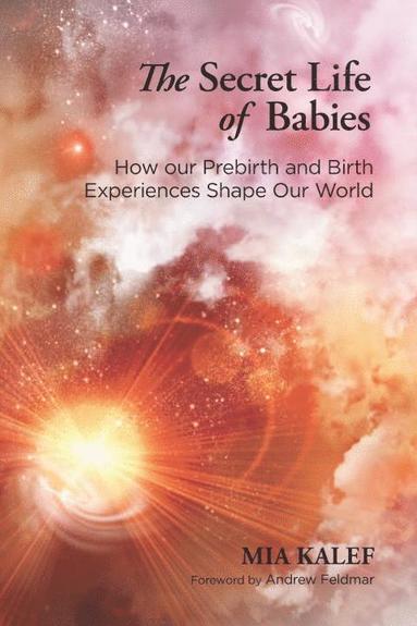 bokomslag Secret Life of Babies