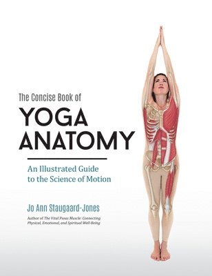 bokomslag Concise Book of Yoga Anatomy