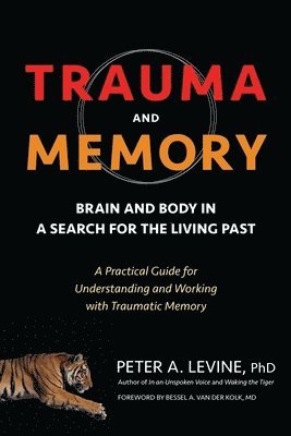 bokomslag Trauma and Memory