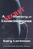 bokomslag Secret History of Consciousness