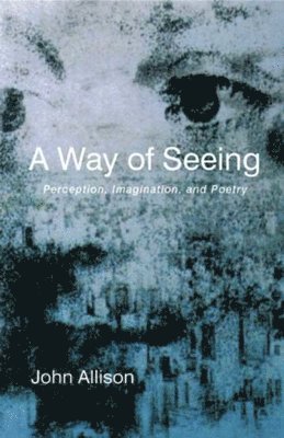 John Allison - A Way of Seeing, Häftad