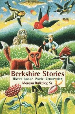 bokomslag Berkshire Stories