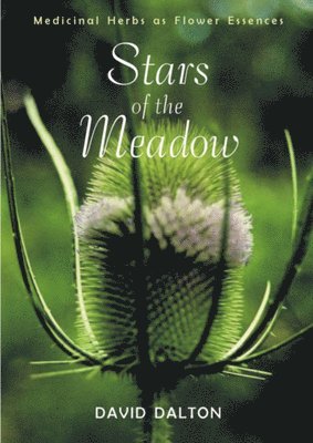 David Dalton - Stars of the Meadow, Häftad
