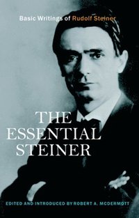 bokomslag The Essential Steiner