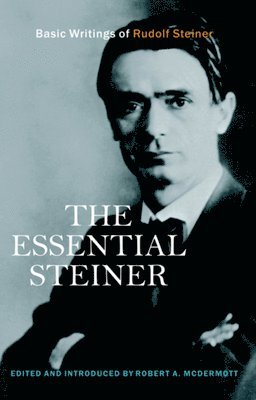 bokomslag The Essential Steiner: Basic Writings of Rudolf Steiner