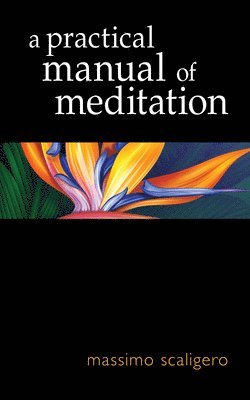 bokomslag A Practical Manual of Meditation