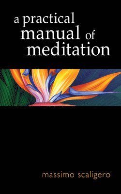 bokomslag Practical Manual of Meditation