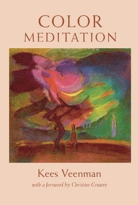 bokomslag Color Meditation