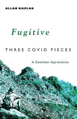 Fugitive 1