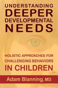 bokomslag Understanding Deeper Developmental Needs