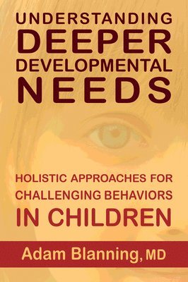 Adam Blanning - Understanding Deeper Developmental Needs, Häftad
