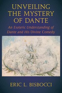 bokomslag Unveiling the Mystery of Dante