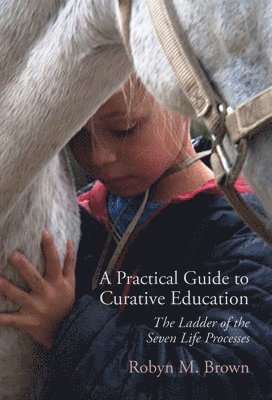 Robyn Brown, Robyn M. Brown, Robyn M Brown - Practical Guide to Curative Education, Häftad