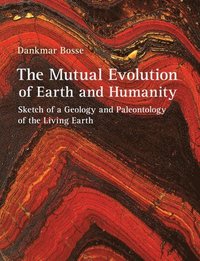 bokomslag The Mutual Evolution of Earth and Humanity
