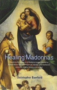 bokomslag Healing Madonnas