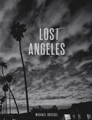 bokomslag Lost Angeles